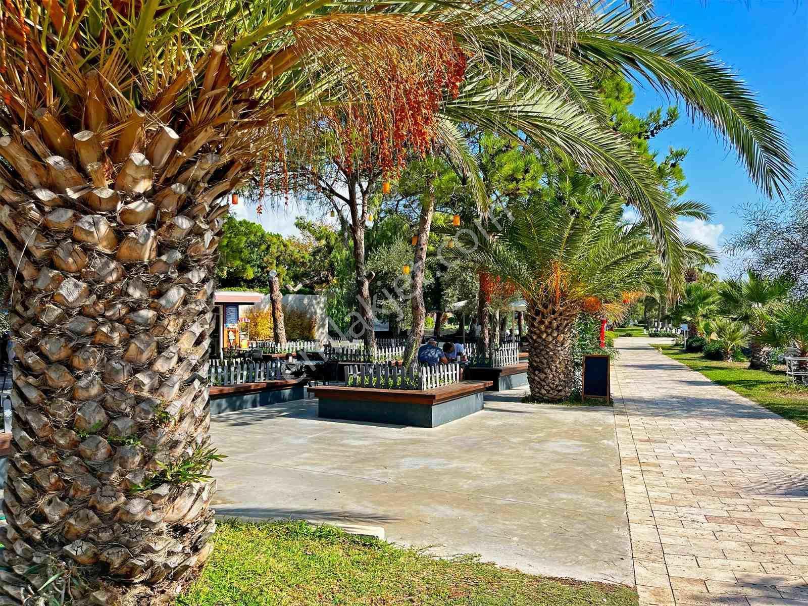 Datça Bıllurkent Sıtesın'de Satılık Devremülk Gül 3/10 — fotoğraf 18
