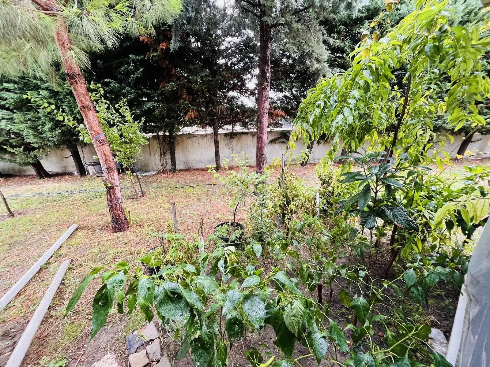 Re/max Kıyı Dan Satılık Havuzlu Site İçerisinde 3+1 Villa — fotoğraf 9