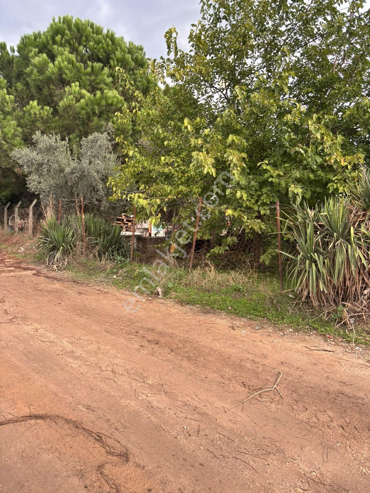 Pozitif'ten Kastri'de Yolun Altında Satılık 561 M2 İmarlı Arsa — fotoğraf 8