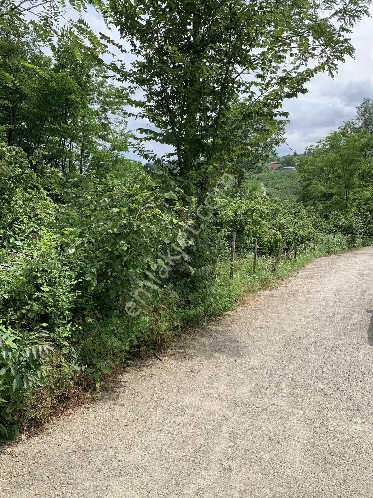 Ordu Çavuşlar Mh'de Satılık Arsa — fotoğraf 5