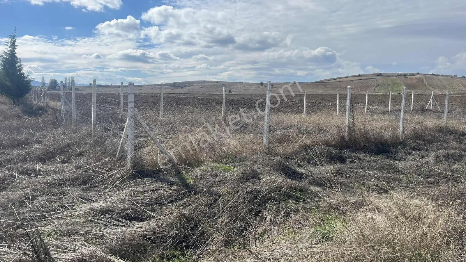Doğa City Den Satılık Söğüt Asfalt Ina Cepheli 300 M2 Tarla — fotoğraf 16