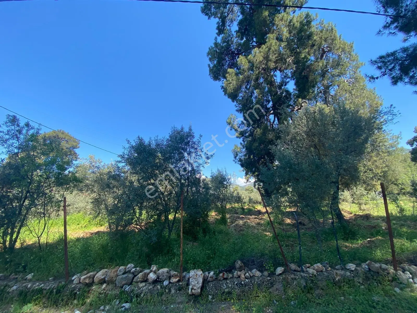 Fethiyenin Değerlenen Köyü İncirköyde 1124m2 Satılık Arsa — fotoğraf 5