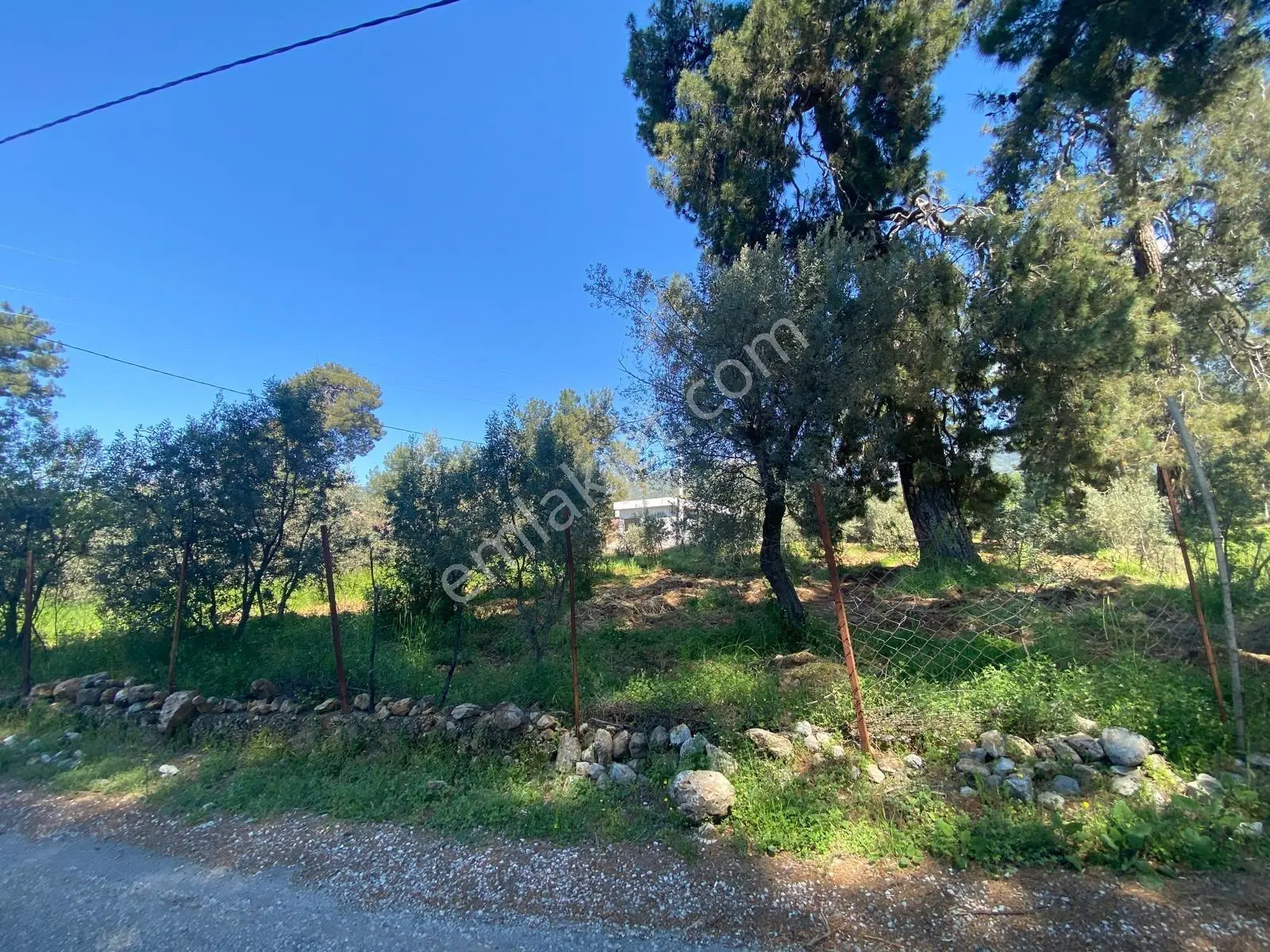 Fethiyenin Değerlenen Köyü İncirköyde 1124m2 Satılık Arsa — fotoğraf 10