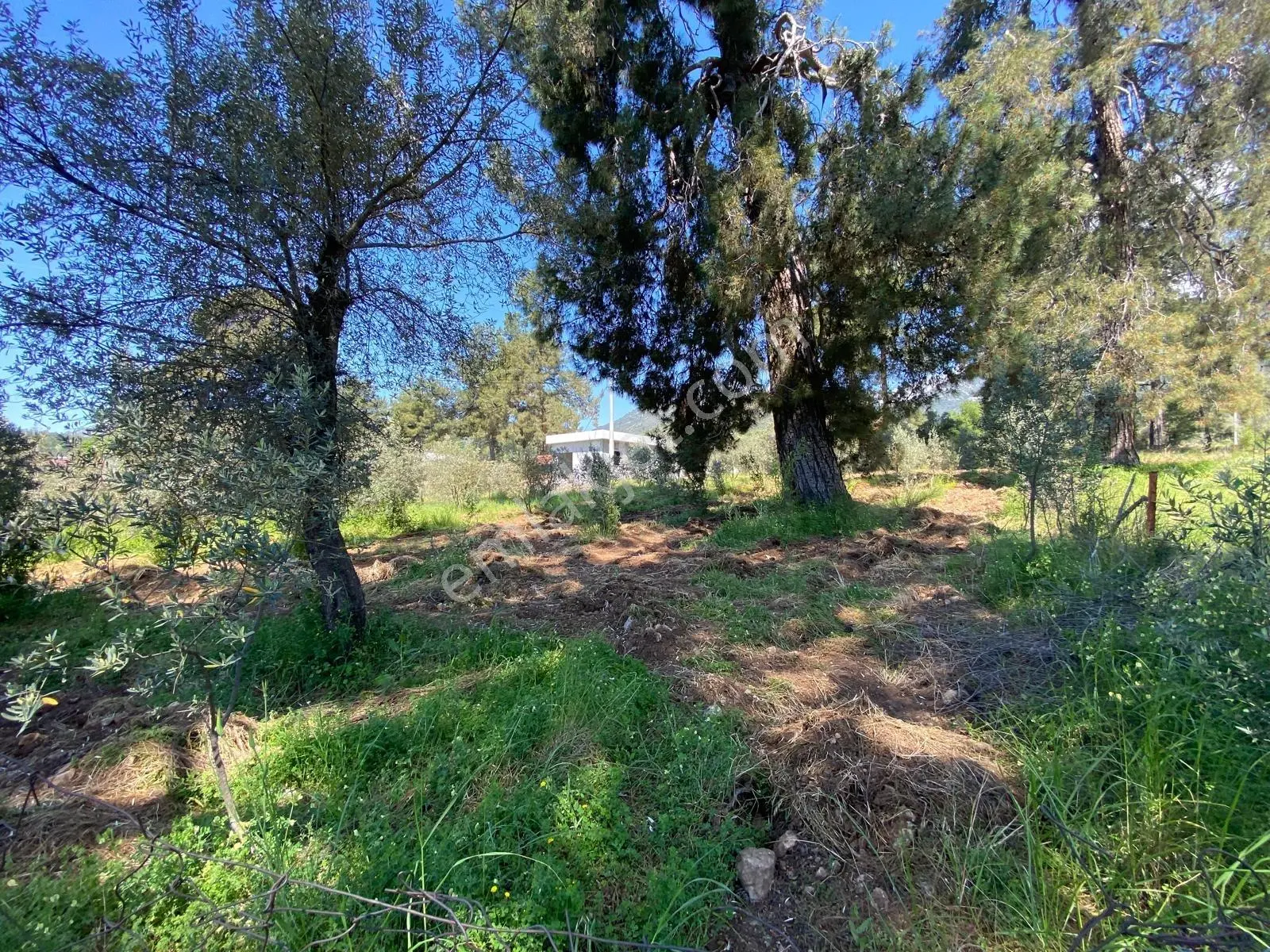 Fethiyenin Değerlenen Köyü İncirköyde 1124m2 Satılık Arsa — fotoğraf 13