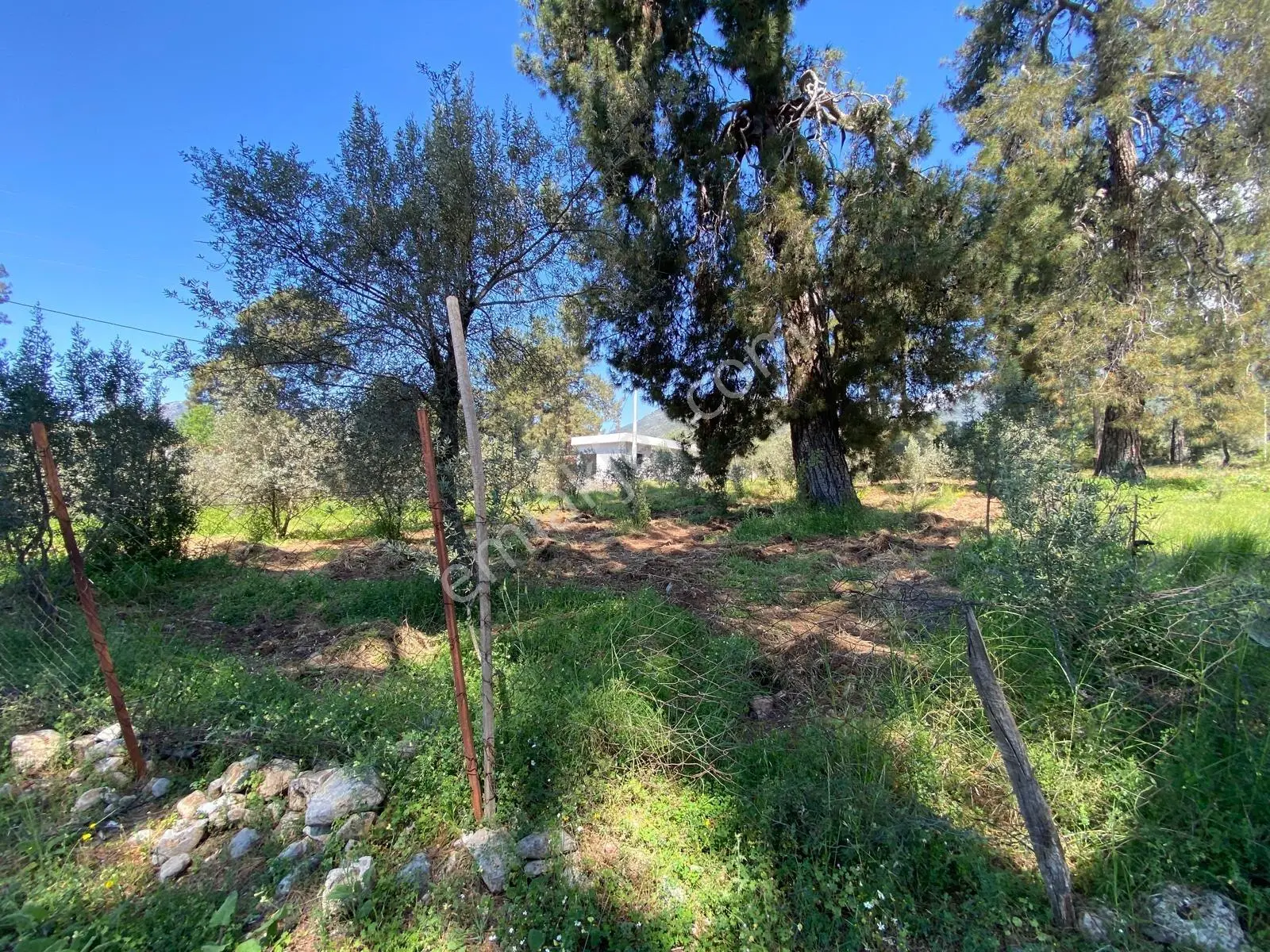 Fethiyenin Değerlenen Köyü İncirköyde 1124m2 Satılık Arsa — fotoğraf 19