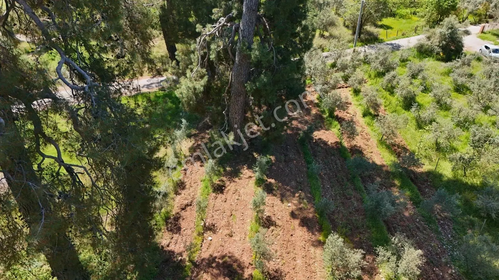 Fethiyenin Değerlenen Köyü İncirköyde 1124m2 Satılık Arsa — fotoğraf 21