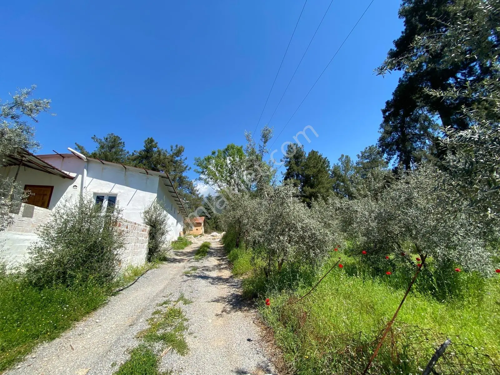 Fethiyenin Değerlenen Köyü İncirköyde 1124m2 Satılık Arsa — fotoğraf 23
