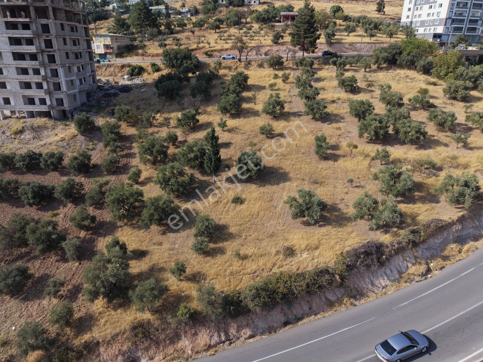 Yeni Rota'dan Dulkadiroğlu Bel. Üst Kısımı 1083 M2 Satılık Arsa — fotoğraf 8