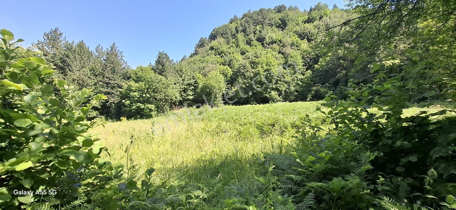 Saitabat Satılık Bağ - Bahçe — fotoğraf 8