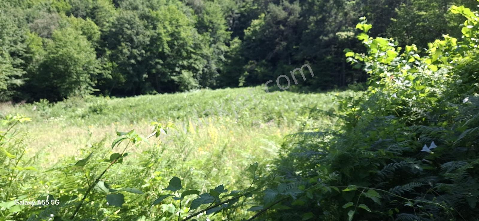 Saitabat Satılık Bağ - Bahçe — fotoğraf 10