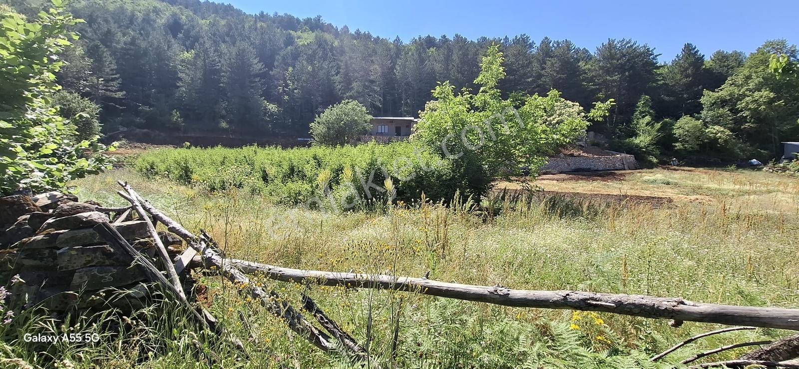 Saitabat Satılık Bağ - Bahçe — fotoğraf 11