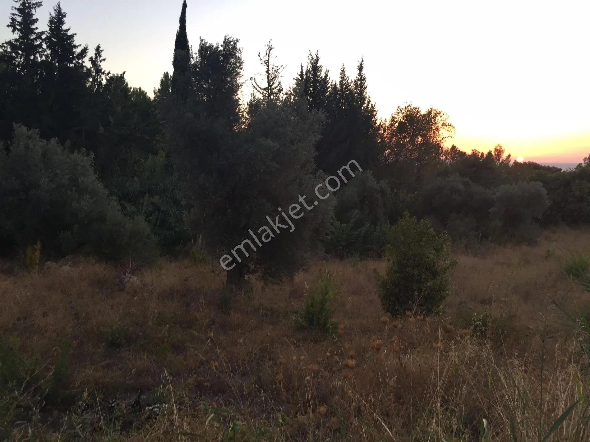 Fethiye Faralyada Turizm Bölgesinde Satılık Arsa 2005 M2 — fotoğraf 2