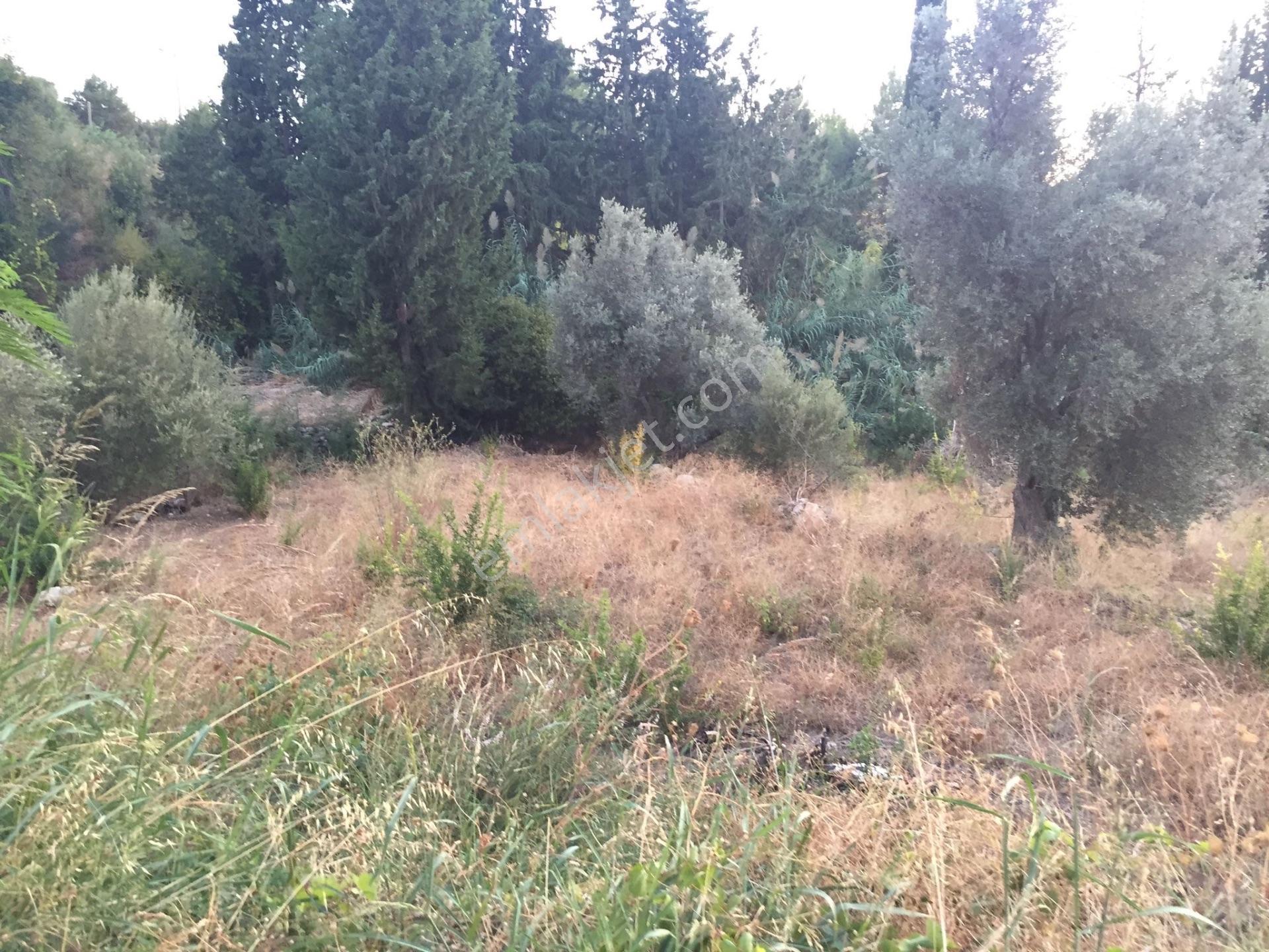 Fethiye Faralyada Turizm Bölgesinde Satılık Arsa 2005 M2 — fotoğraf 11