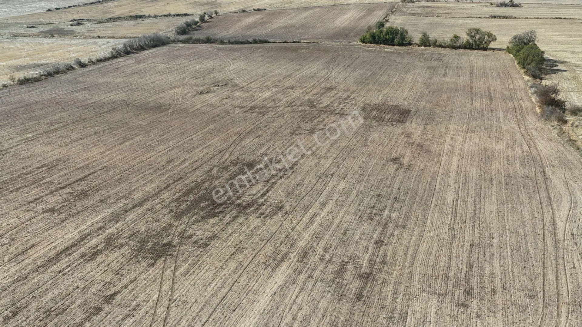 Edirne Lalapaşa Küçünlü Köyü 67 Dönüm Satılık Tarla — fotoğraf 2