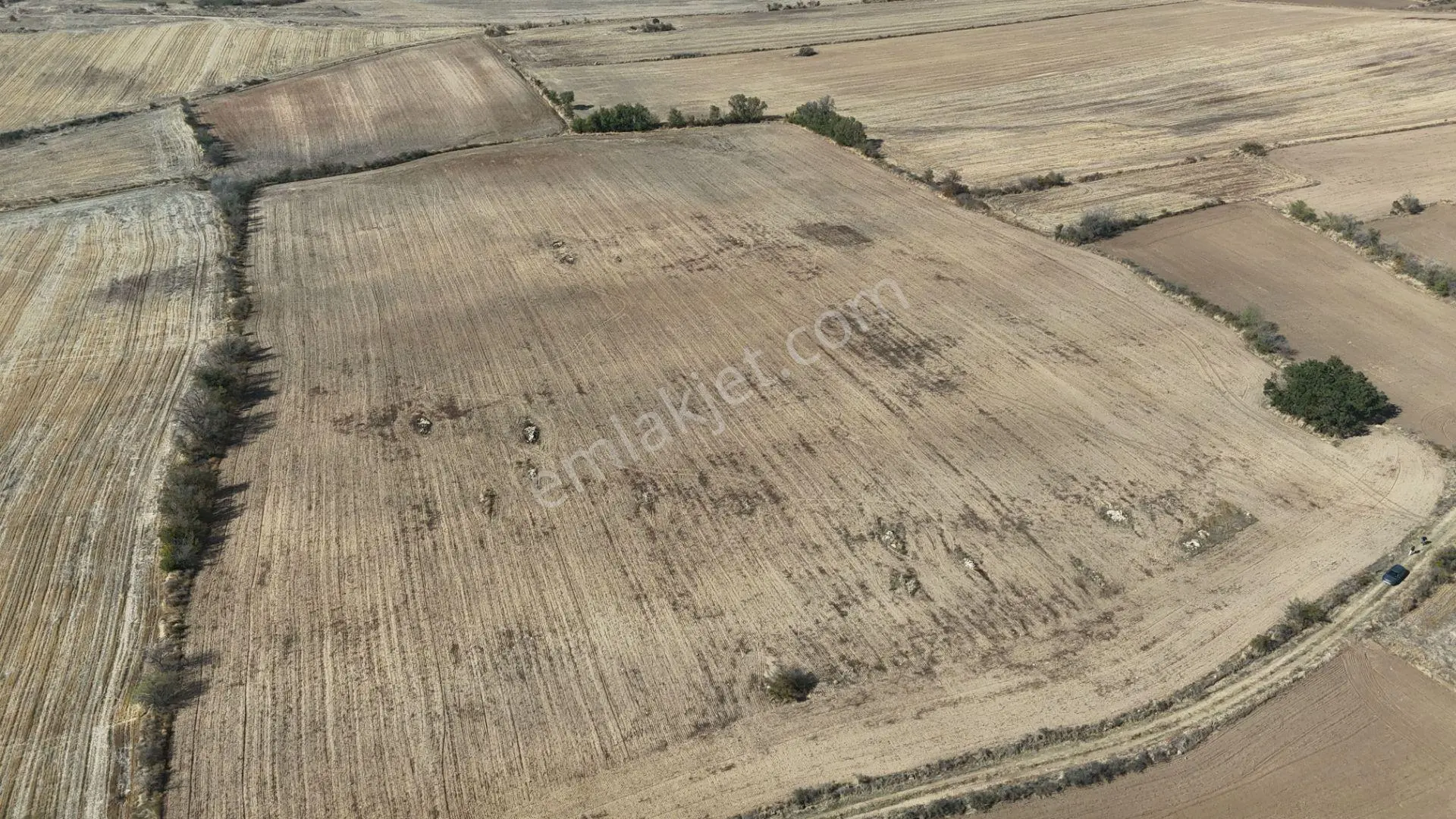 Edirne Lalapaşa Küçünlü Köyü 67 Dönüm Satılık Tarla — fotoğraf 10
