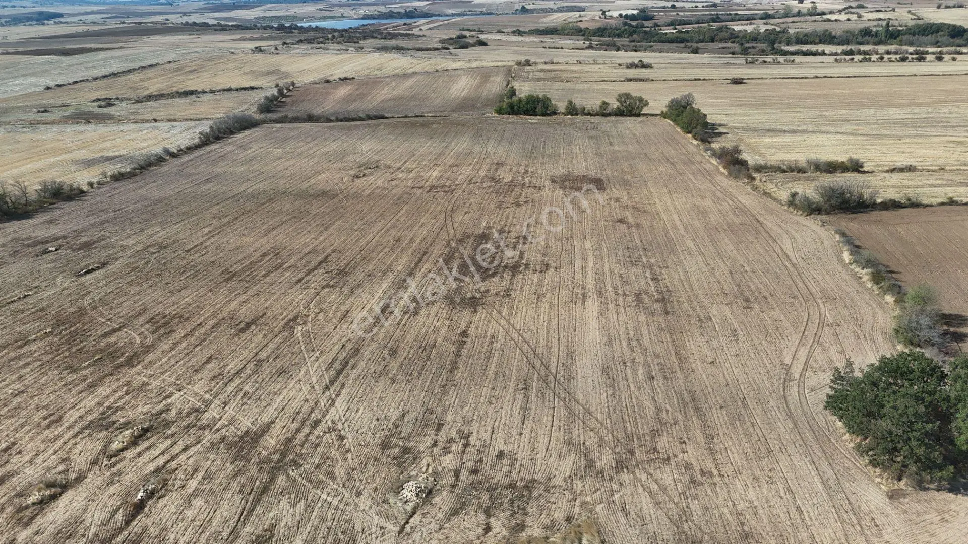 Edirne Lalapaşa Küçünlü Köyü 67 Dönüm Satılık Tarla — fotoğraf 37