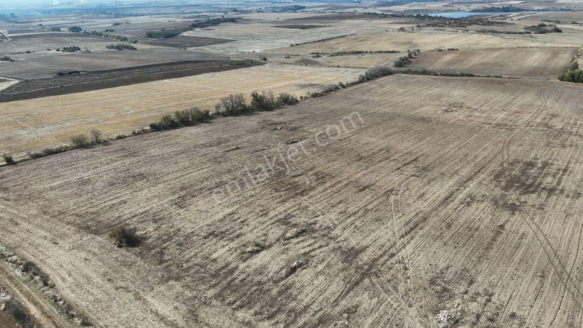Edirne Lalapaşa Küçünlü Köyü 67 Dönüm Satılık Tarla — fotoğraf 38