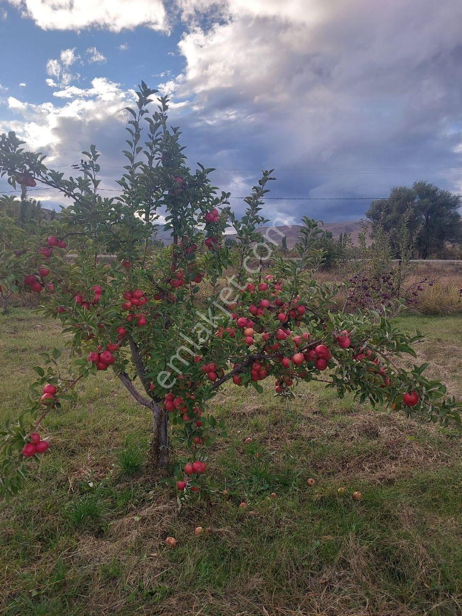 Niğde Çamardı Yoluna Ve Elektriğe Yakın, Etrafı Çevrili Bahçe — fotoğraf 7