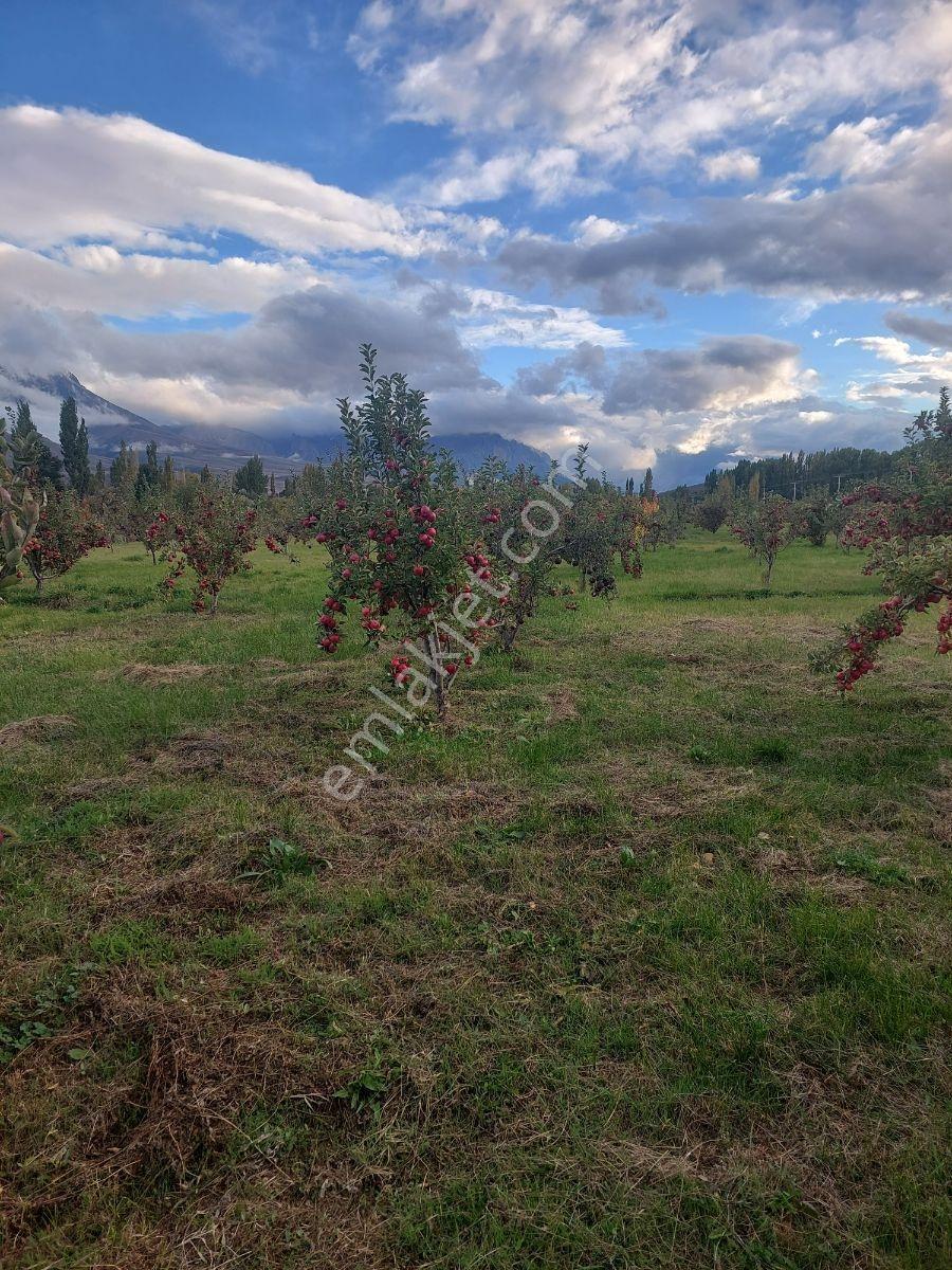 Niğde Çamardı Yoluna Ve Elektriğe Yakın, Etrafı Çevrili Bahçe — fotoğraf 8