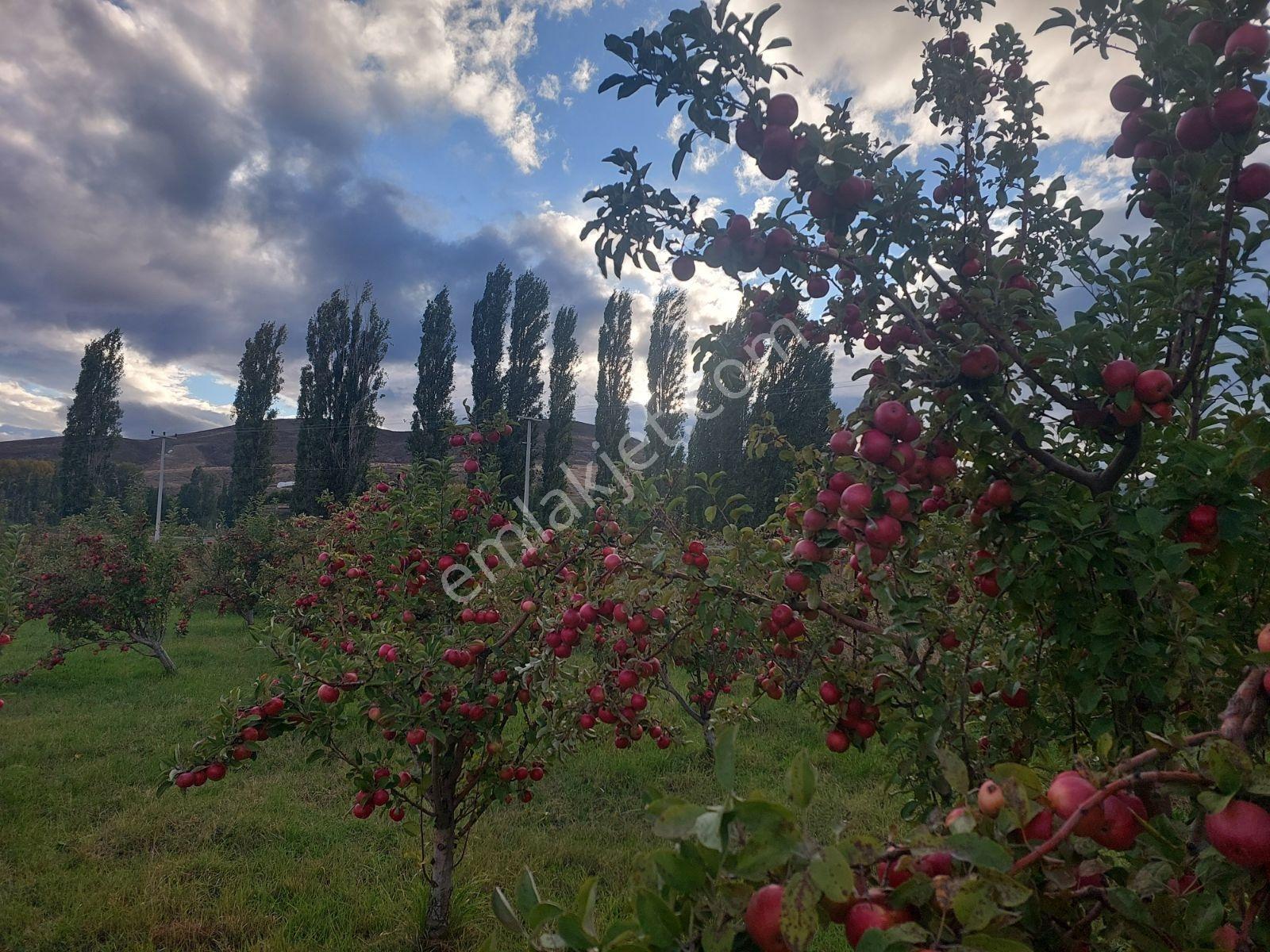 Niğde Çamardı Yoluna Ve Elektriğe Yakın, Etrafı Çevrili Bahçe — fotoğraf 11