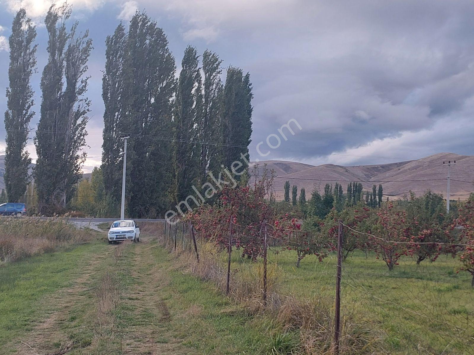 Niğde Çamardı Yoluna Ve Elektriğe Yakın, Etrafı Çevrili Bahçe — fotoğraf 14
