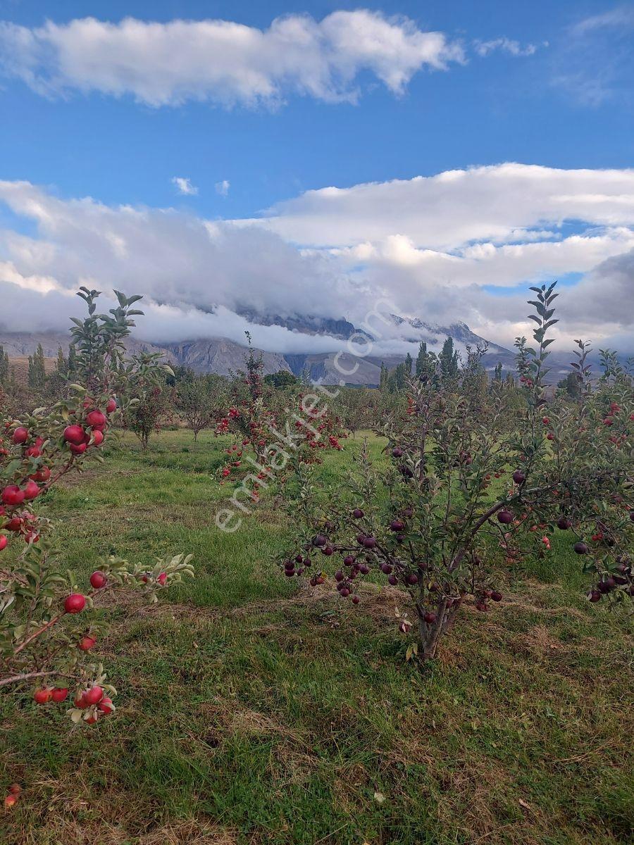 Niğde Çamardı Yoluna Ve Elektriğe Yakın, Etrafı Çevrili Bahçe — fotoğraf 17
