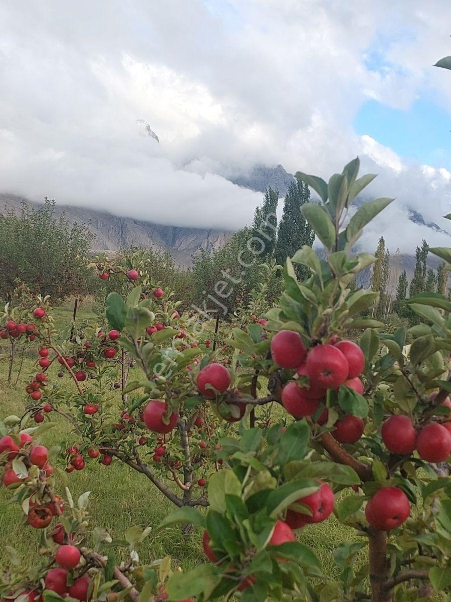 Niğde Çamardı Yoluna Ve Elektriğe Yakın, Etrafı Çevrili Bahçe — fotoğraf 21