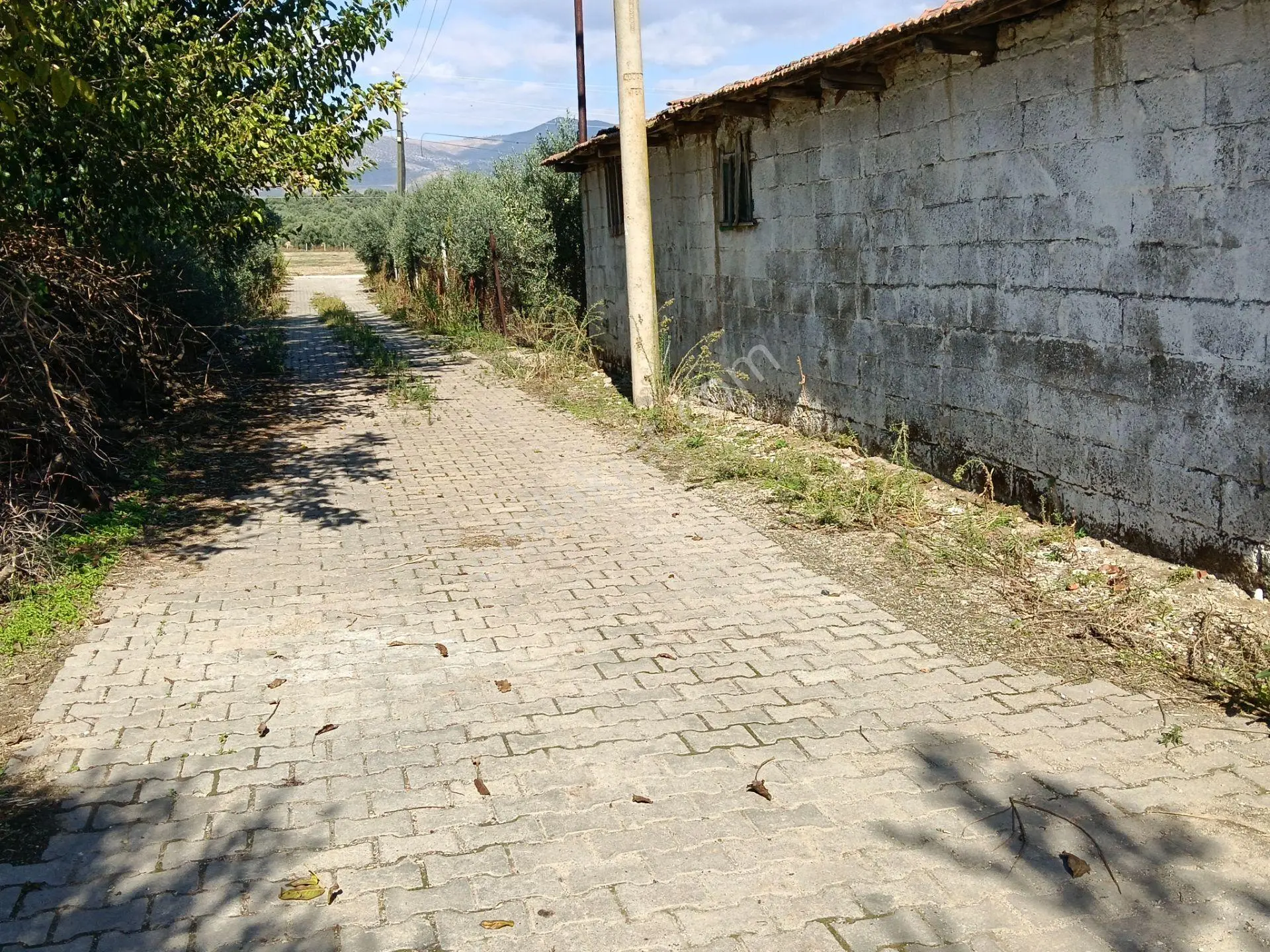 Satılık Köy Evi Yaşar Emlâk Tan — fotoğraf 3