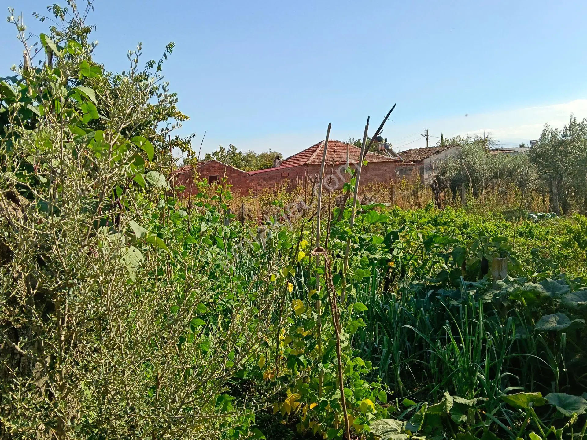 Satılık Köy Evi Yaşar Emlâk Tan — fotoğraf 13