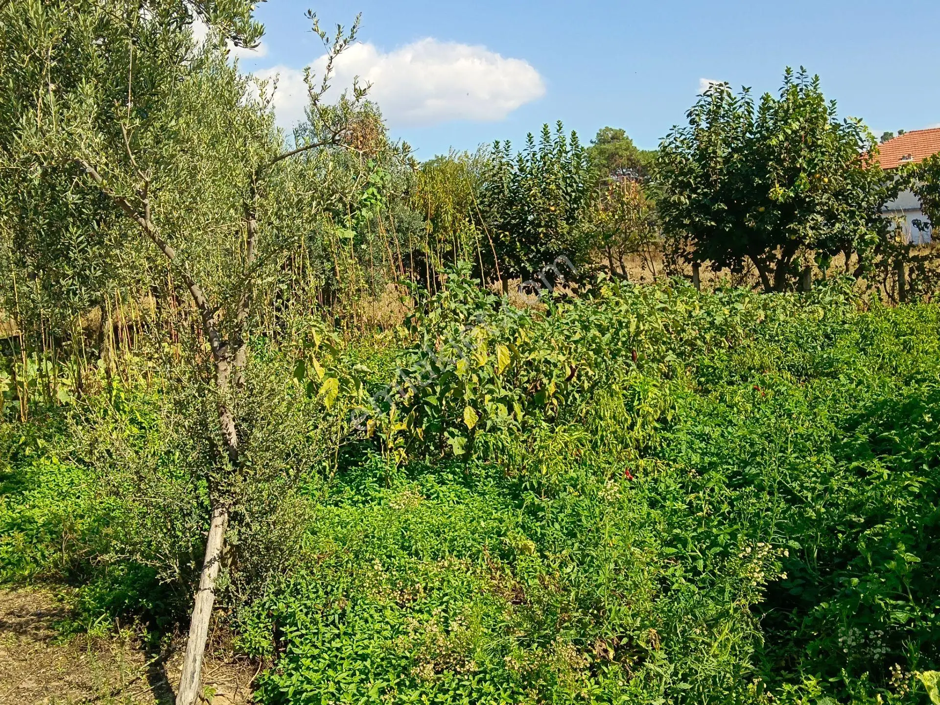 Satılık Köy Evi Yaşar Emlâk Tan — fotoğraf 17