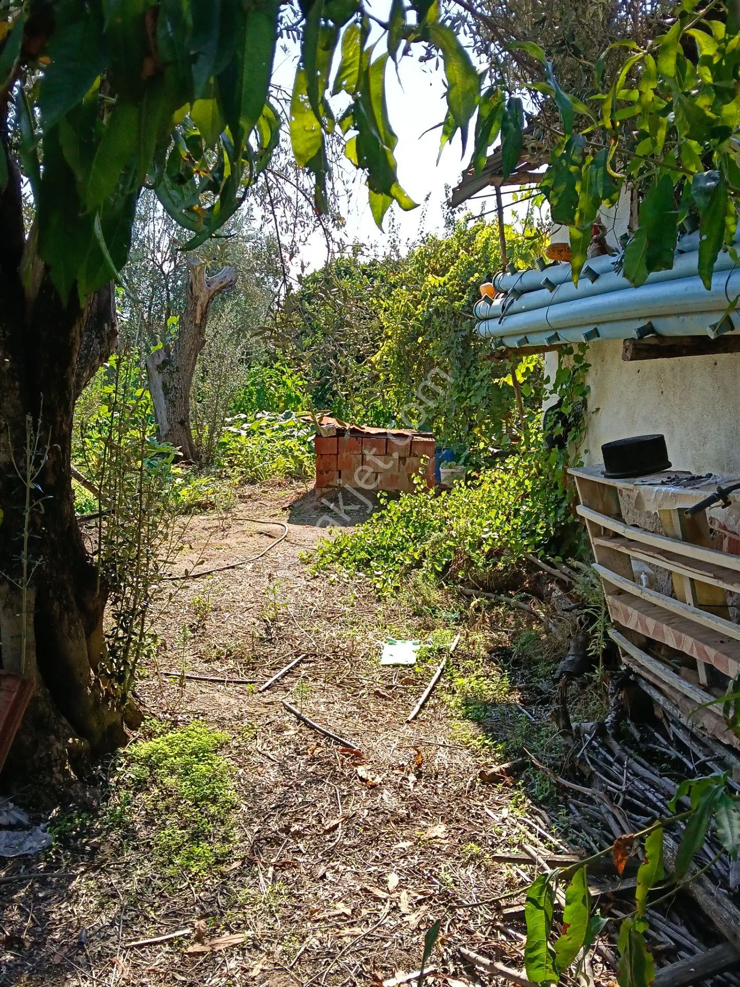 Satılık Köy Evi Yaşar Emlâk Tan — fotoğraf 19
