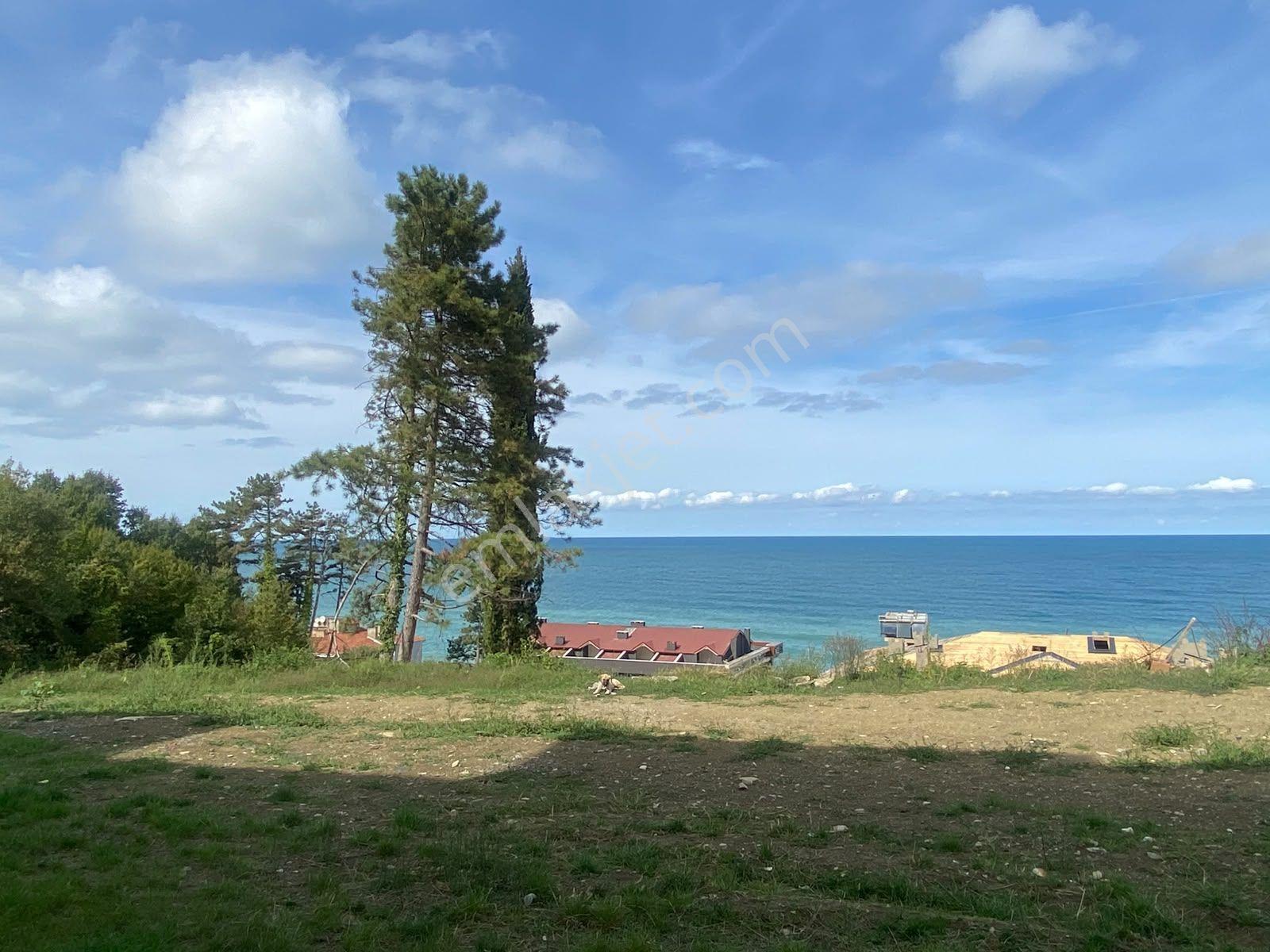 Yine*zeybek* Den Deniz Manzaralı 1+1/sifir Daire 45.m2 — fotoğraf 10