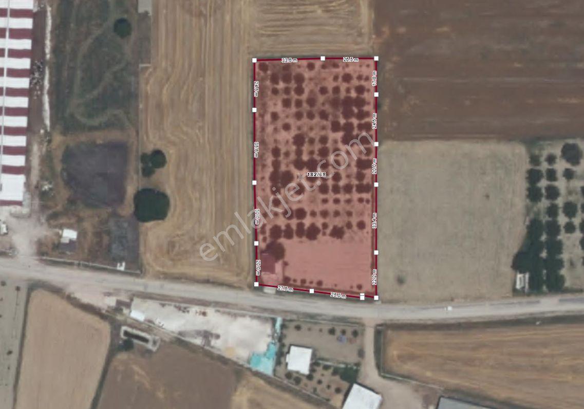 Burdur Bucak Karapınar'da Satılık 6.855 M² Kurulu Düzen Bağ Evi Ve Meyve Bahçesi — fotoğraf 9