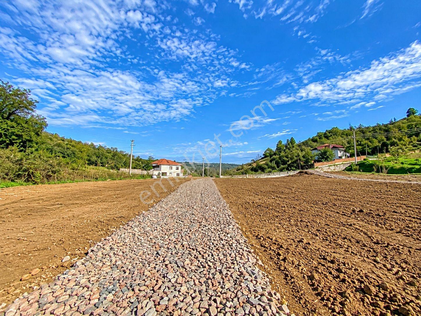Sakarya Kocaali 300m2 Arsa İçinde 2 Katlı Ev Projeli Masrafsız — fotoğraf 11