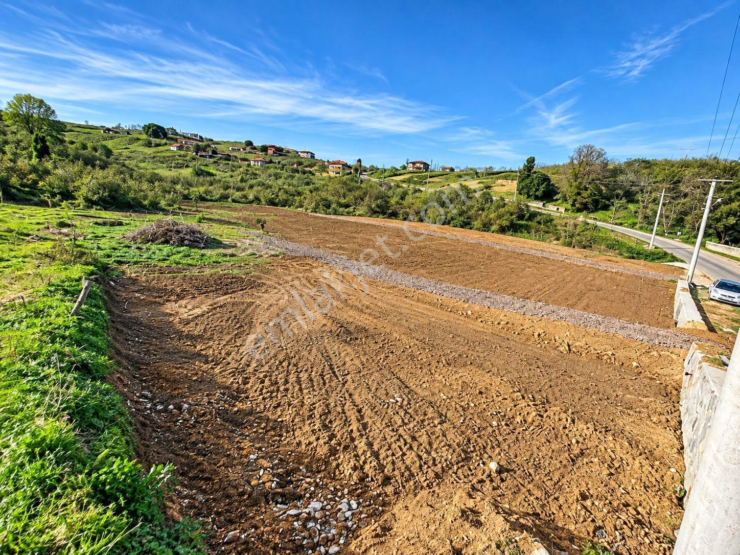 Sakarya Kocaali 300m2 Arsa İçinde 2 Katlı Ev Projeli Masrafsız — fotoğraf 12