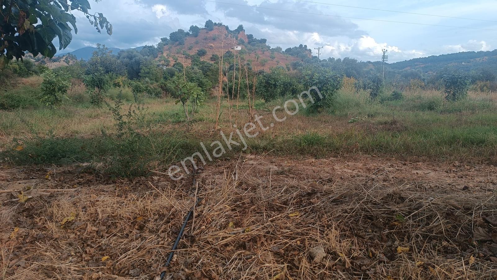 Gedikaltı Mahallesin De Satılık 1800 M² Bahçe ! ! ! — fotoğraf 2