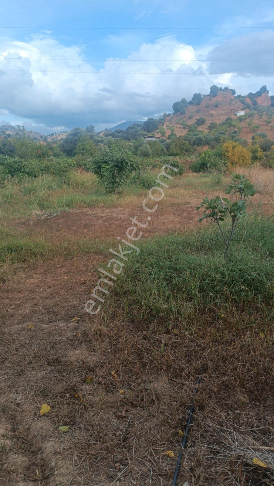 Gedikaltı Mahallesin De Satılık 1800 M² Bahçe ! ! ! — fotoğraf 3