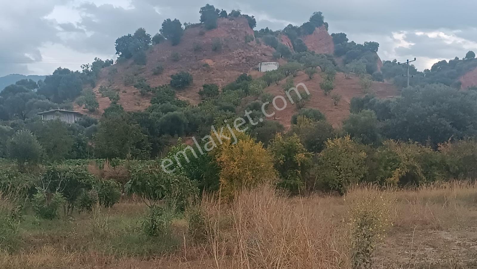 Gedikaltı Mahallesin De Satılık 1800 M² Bahçe ! ! ! — fotoğraf 4