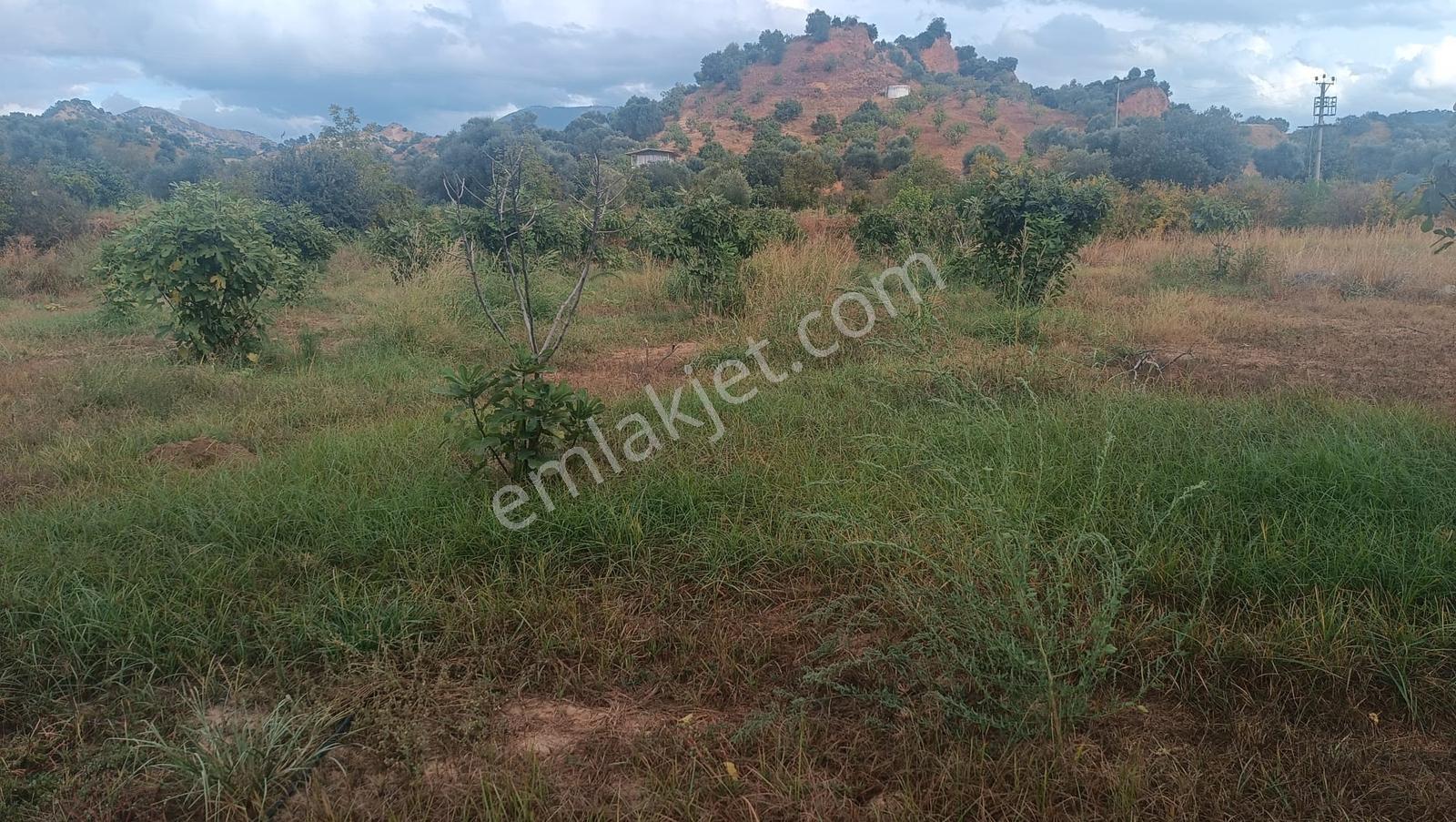 Gedikaltı Mahallesin De Satılık 1800 M² Bahçe ! ! ! — fotoğraf 6