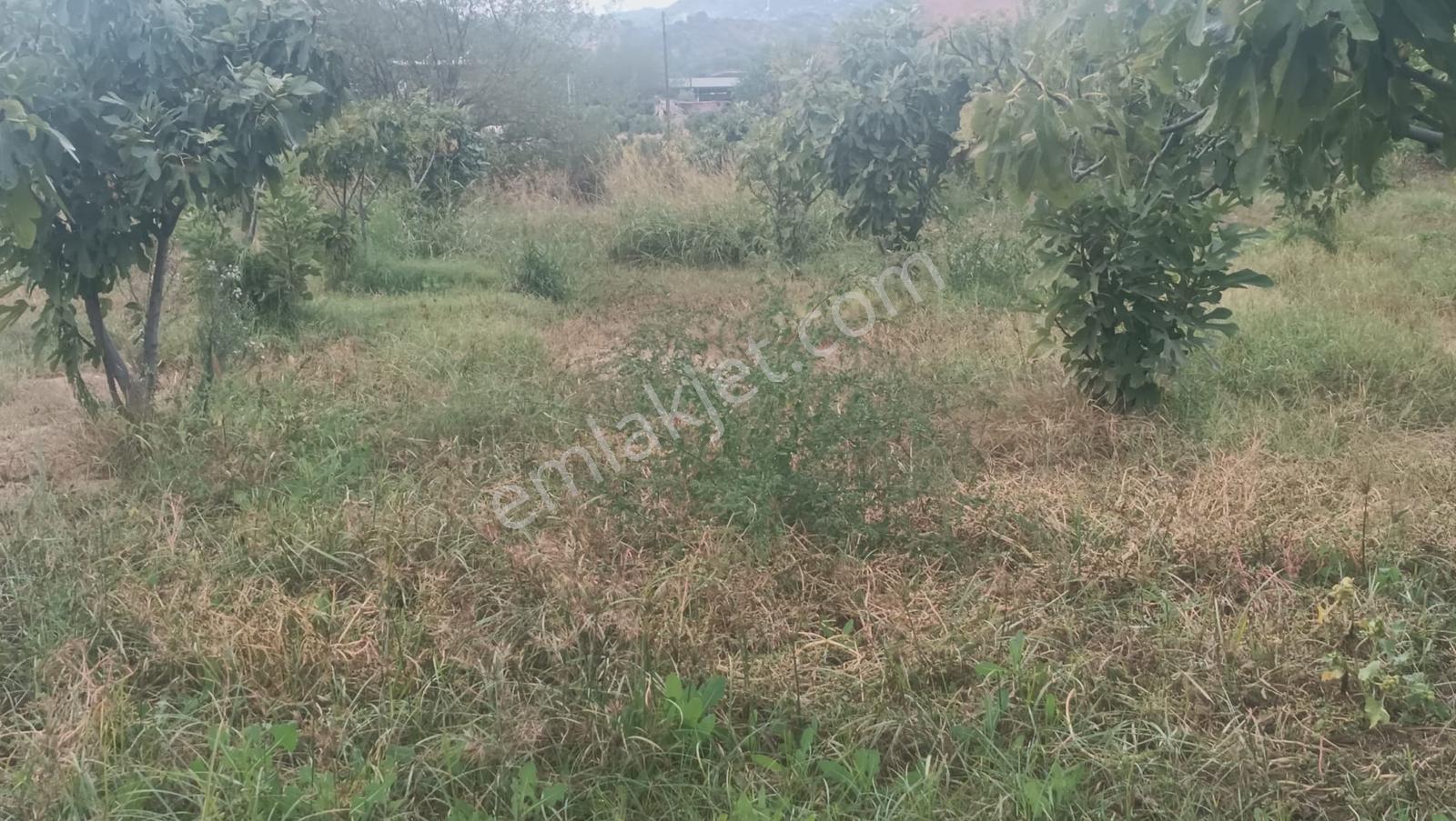Gedikaltı Mahallesin De Satılık 1800 M² Bahçe ! ! ! — fotoğraf 9