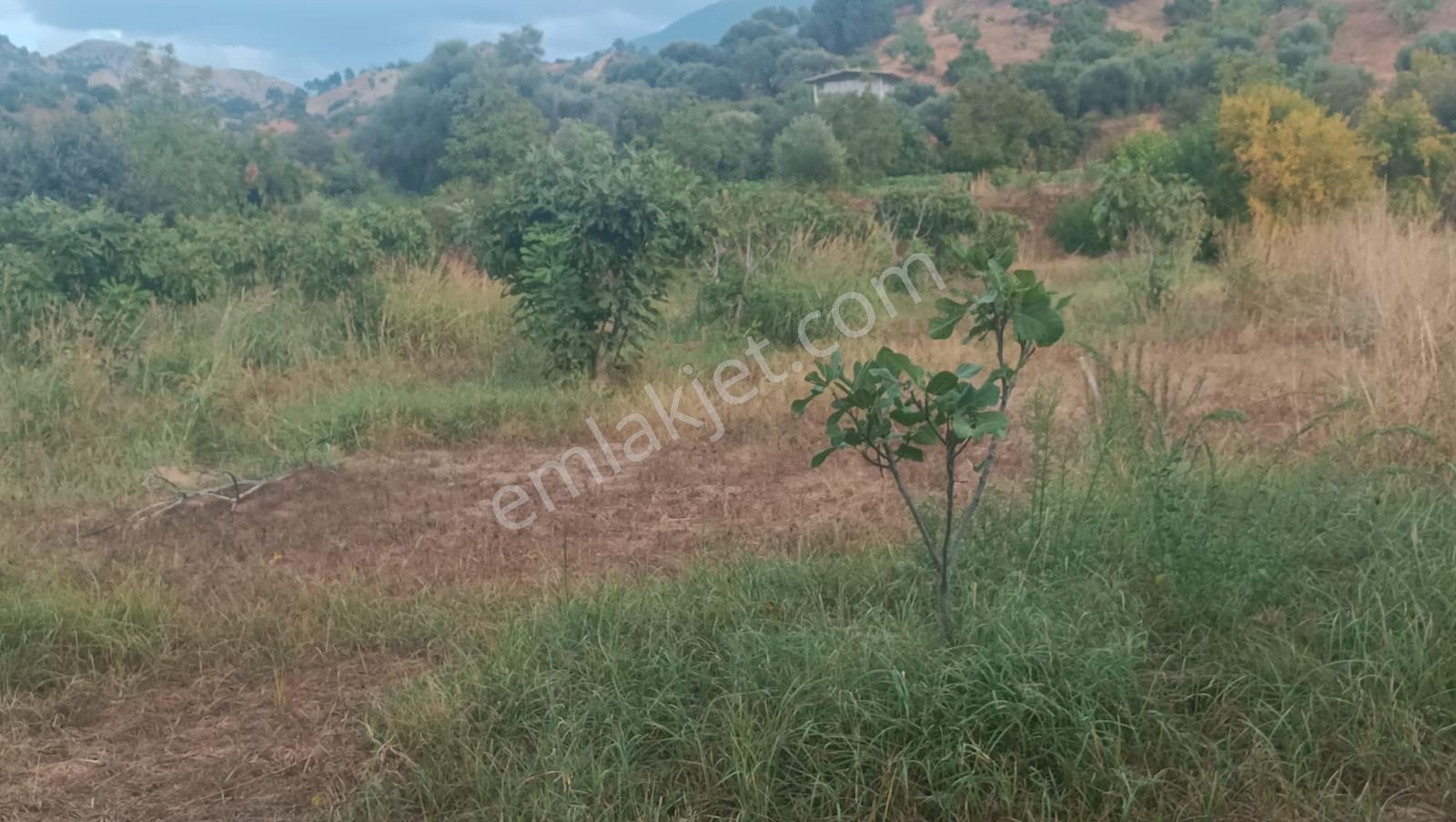 Gedikaltı Mahallesin De Satılık 1800 M² Bahçe ! ! ! — fotoğraf 13