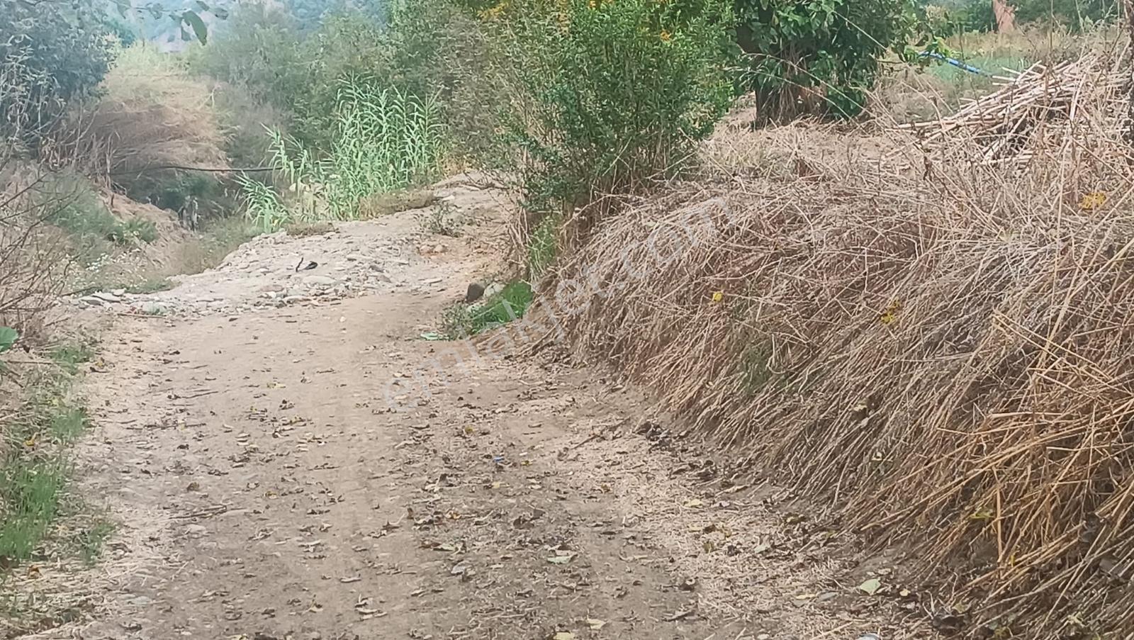 Gedikaltı Mahallesin De Satılık 1800 M² Bahçe ! ! ! — fotoğraf 14