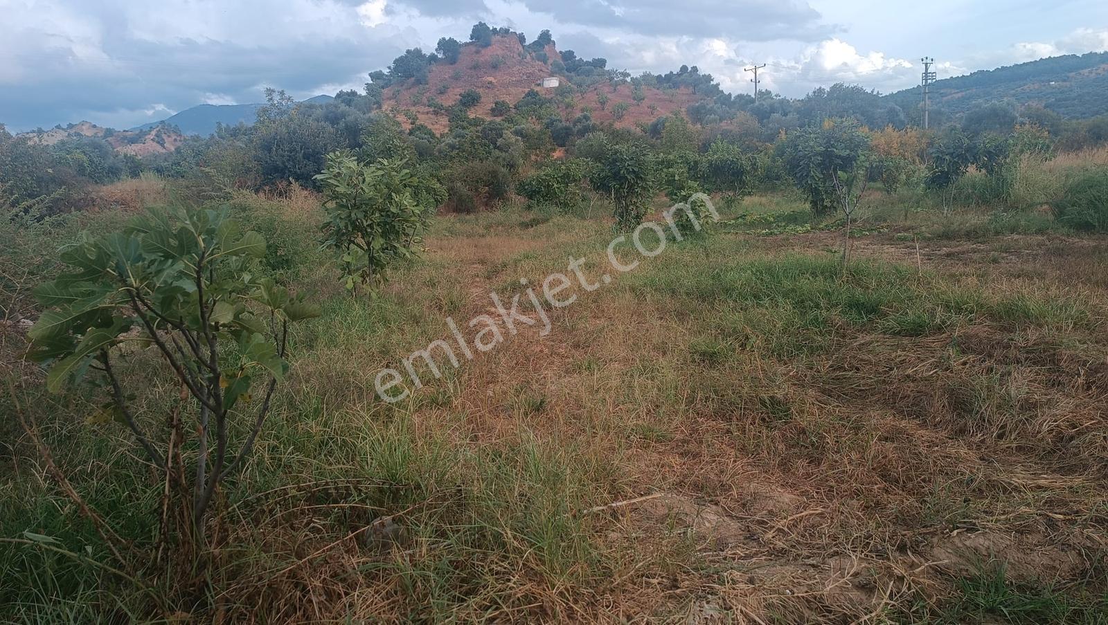 Gedikaltı Mahallesin De Satılık 1800 M² Bahçe ! ! ! — fotoğraf 15