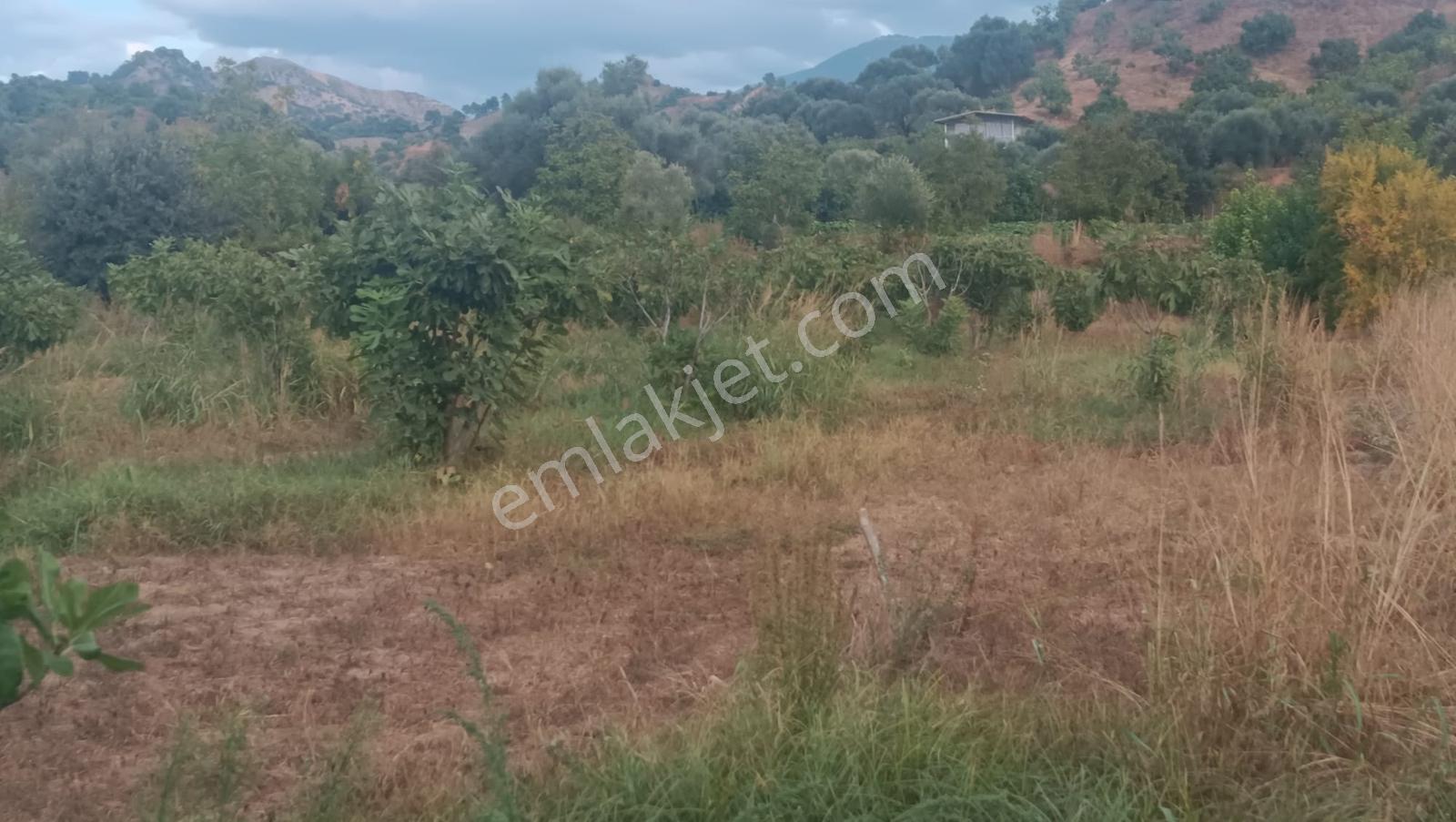 Gedikaltı Mahallesin De Satılık 1800 M² Bahçe ! ! ! — fotoğraf 16