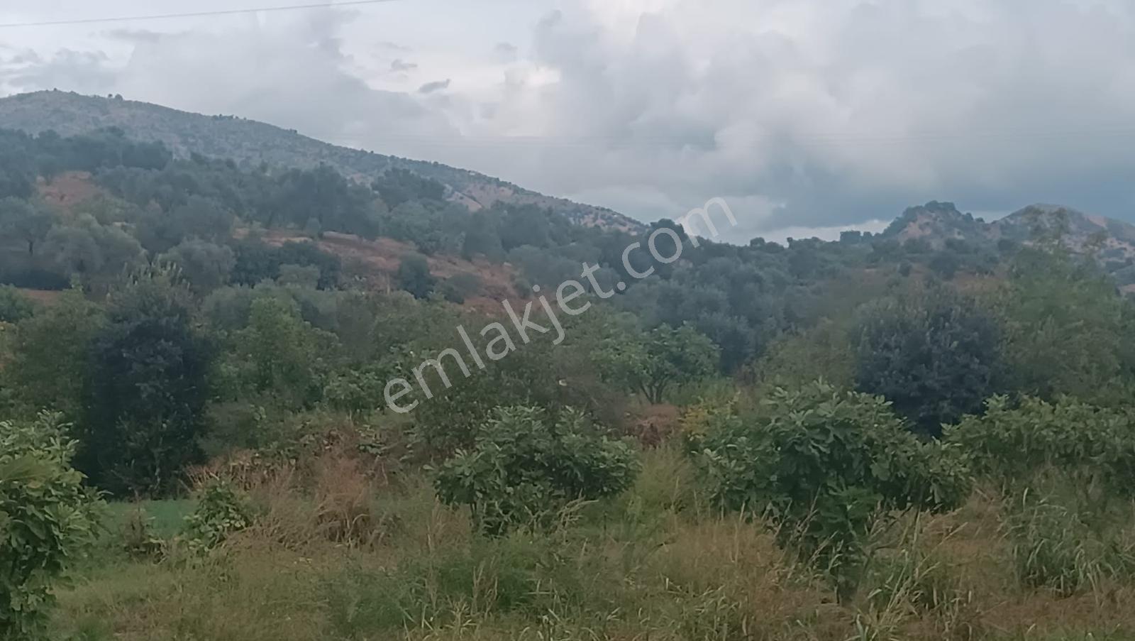Gedikaltı Mahallesin De Satılık 1800 M² Bahçe ! ! ! — fotoğraf 18