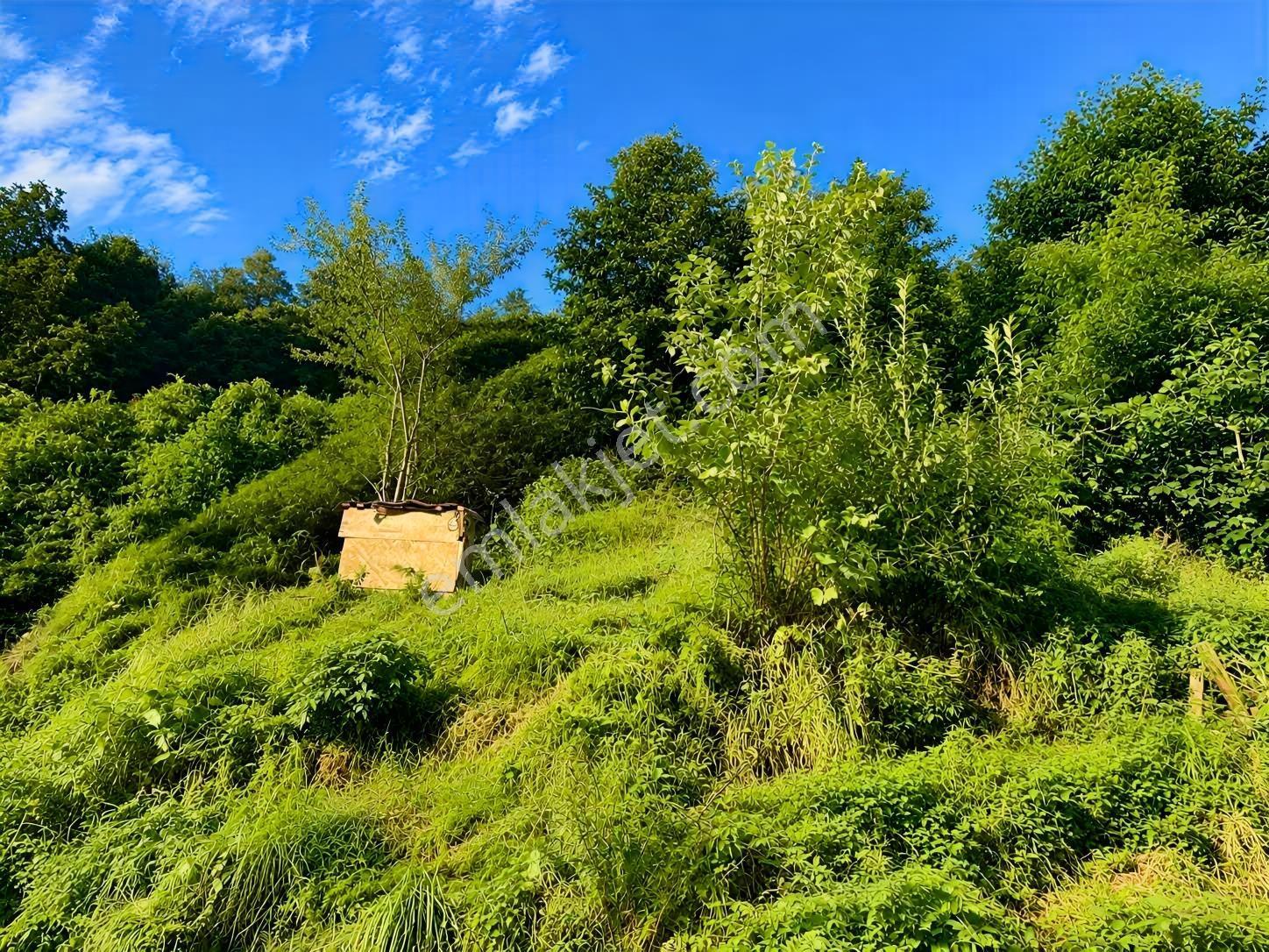 Beşikdüzünde 8 Dönüm Yatırımlık Arazi Fırsatı! — fotoğraf 8