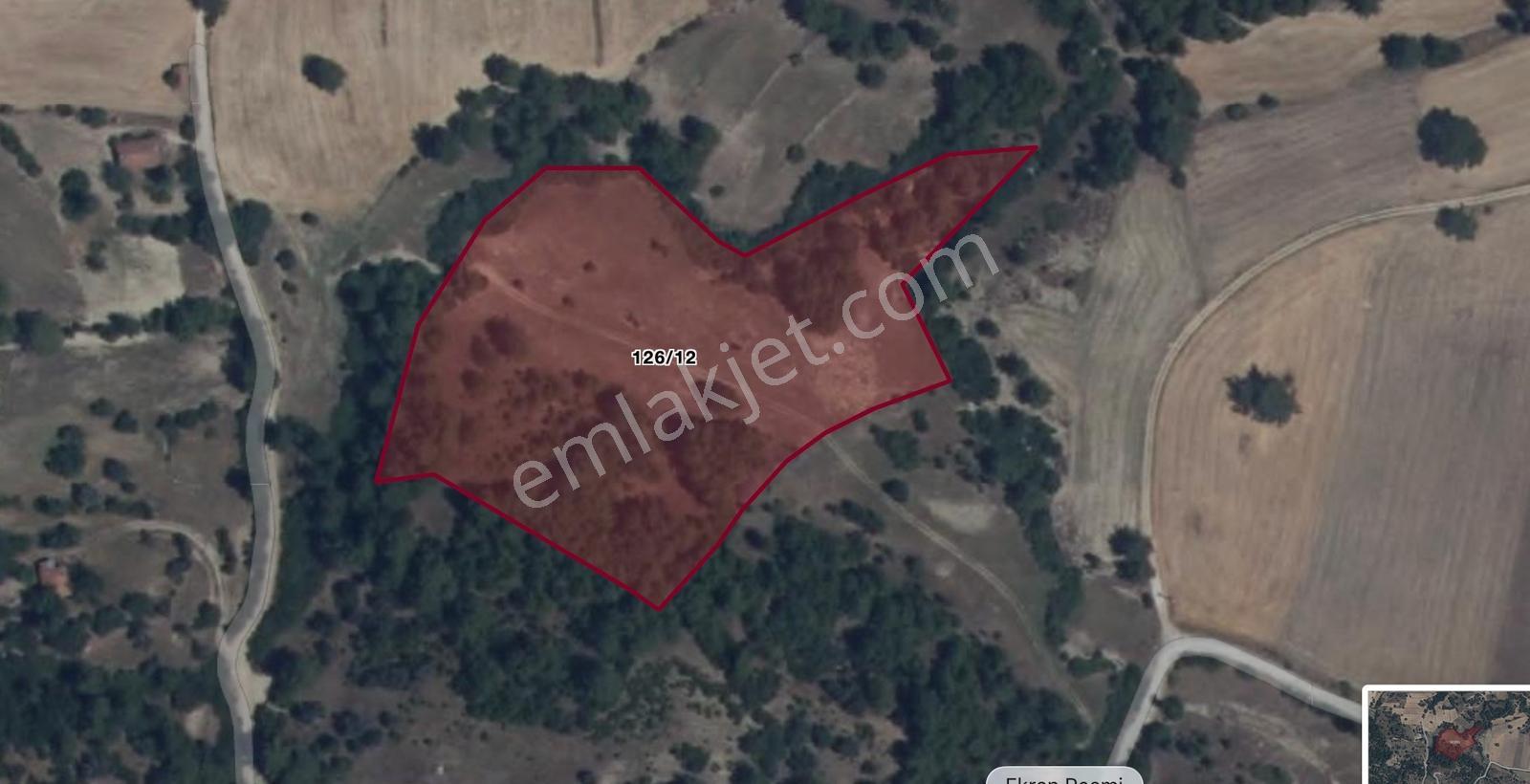 Usta Gayrimenkul'den Satılık Manavgat Karabük'te 16.204 M2 Tarla — fotoğraf 3
