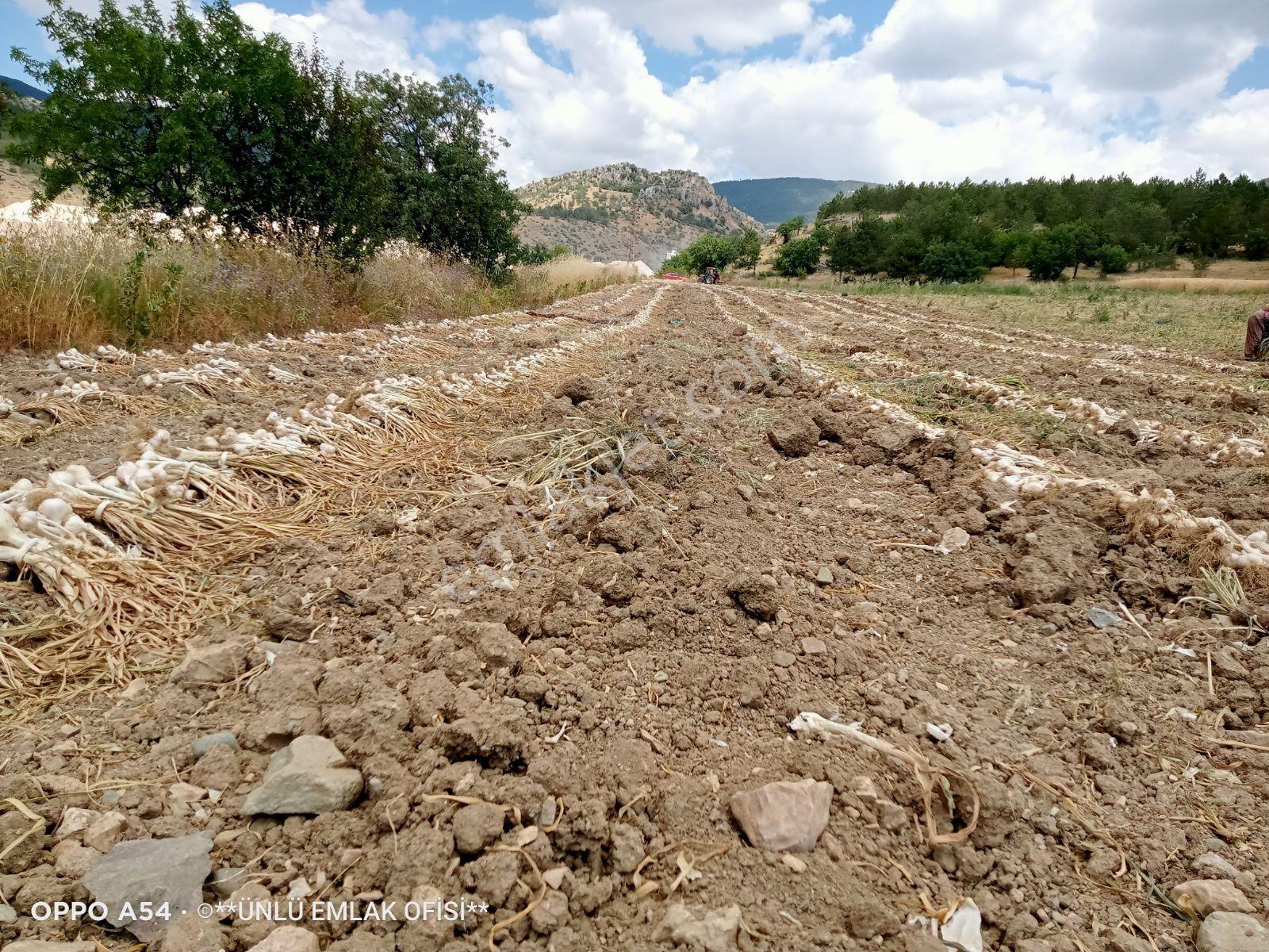 Ünlü Emlaktan Yukarıbatak Köyünde Sulutarım Ve Çiftliğe Uygun — fotoğraf 7