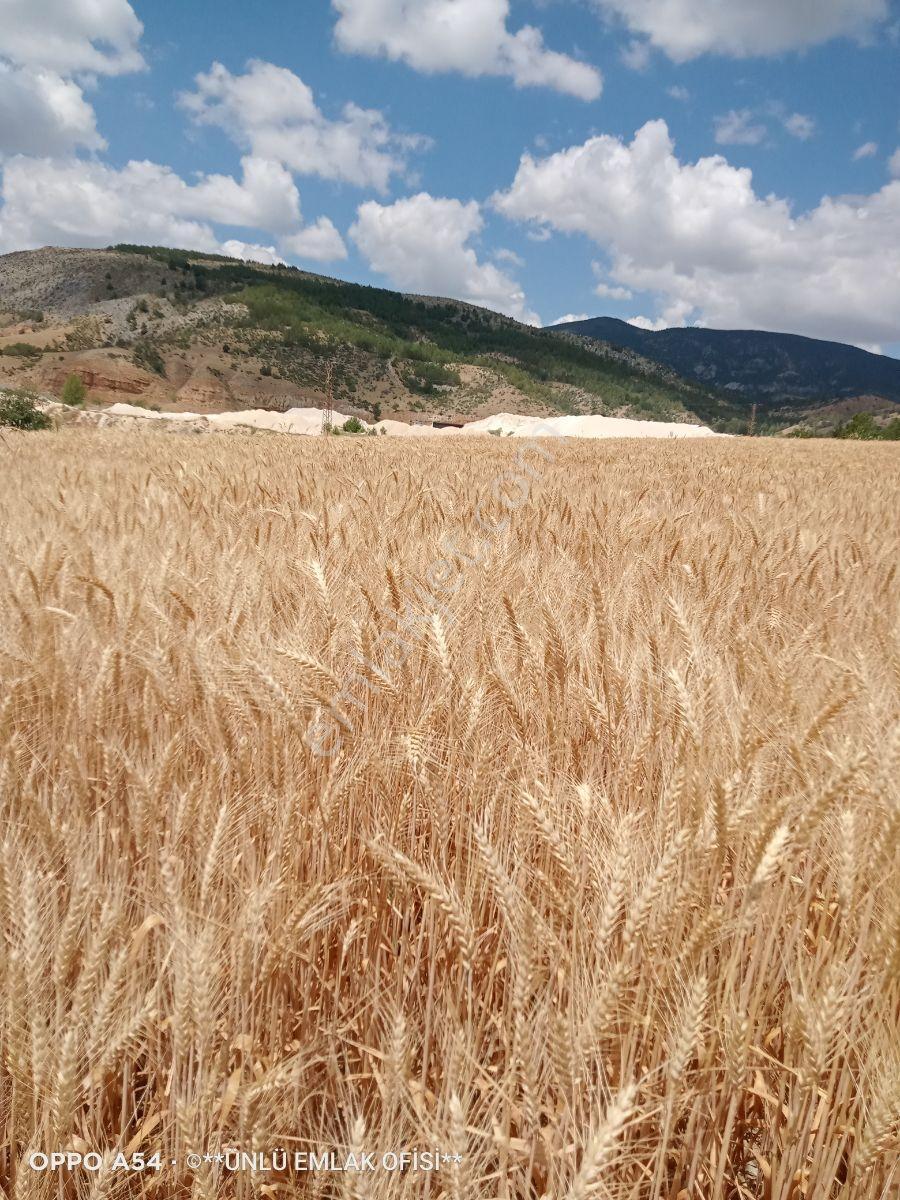Ünlü Emlaktan Yukarıbatak Köyünde Sulutarım Ve Çiftliğe Uygun — fotoğraf 20