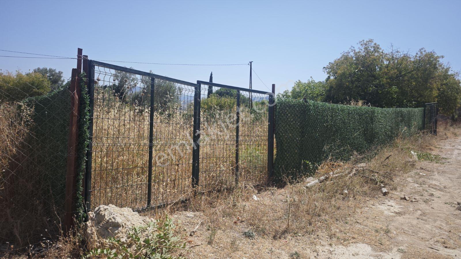 Urla Rüstem Mh Satılık Arazi